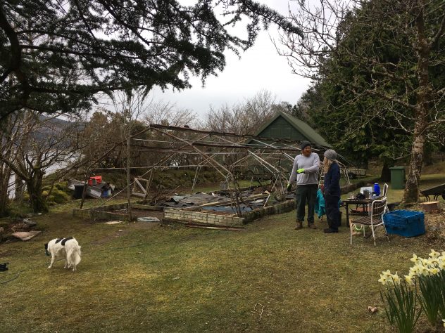 disassembling old greenhouse in Avernish