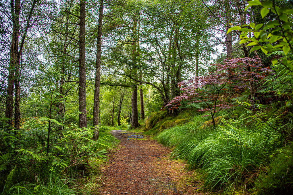 Rudha Mor plockton-2943